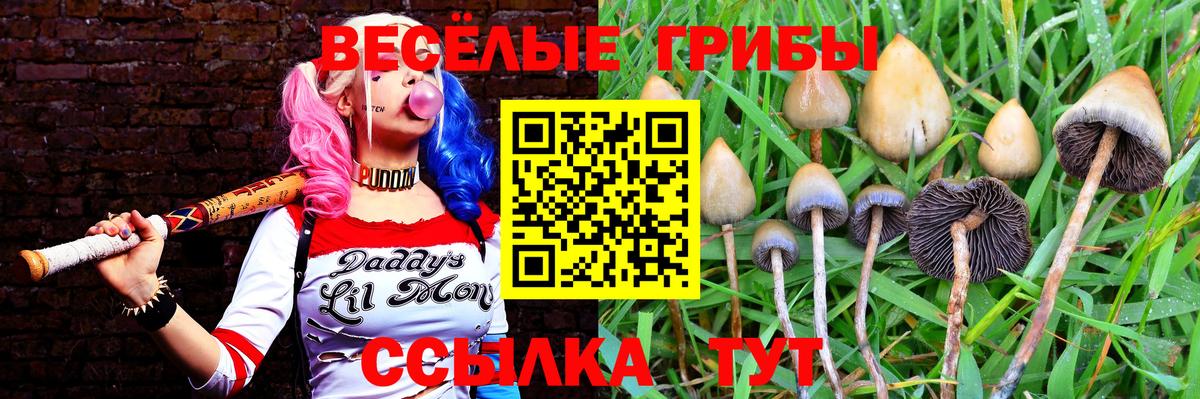 Галлюциногенные грибы Psilocybe  Вход с VPN  Нягань  Псилоцибиновые грибы Cubensis 
